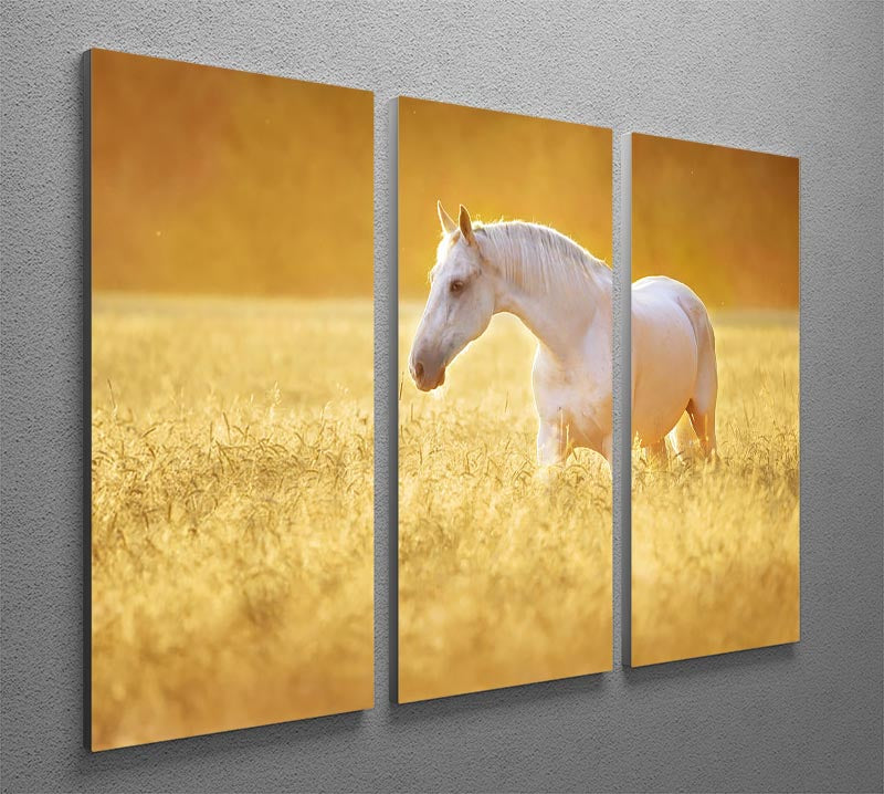 A beautiful 3-panel canvas print featuring a White Orlov trotter horse in a field of rye, showcasing elegance and nature.