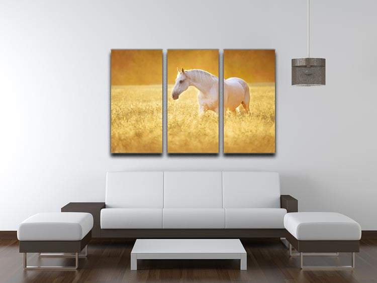 A beautiful 3-panel canvas print featuring a White Orlov trotter horse in a field of rye, showcasing elegance and nature.