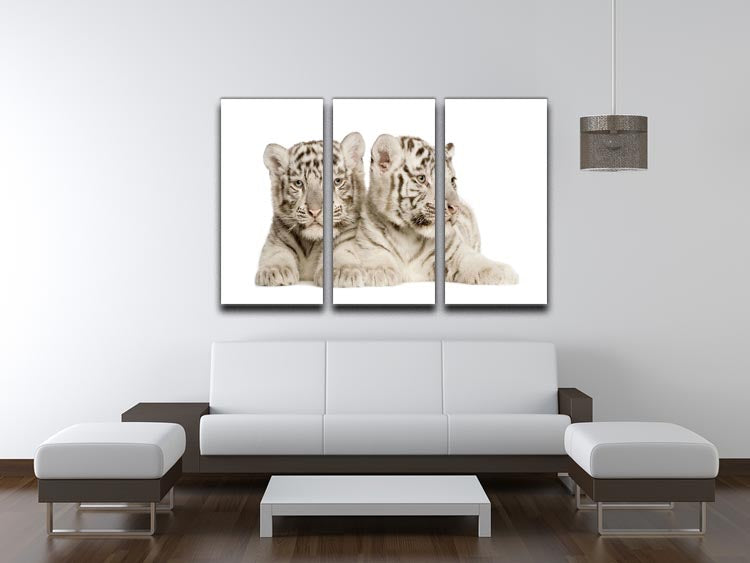 A beautiful 3-panel canvas print featuring adorable white tiger cubs, showcasing their playful nature and striking appearance.