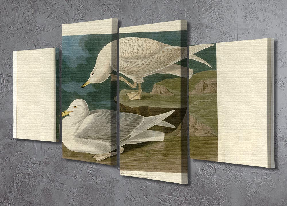 A beautiful 4-split canvas artwork featuring a white-winged silvery gull, showcasing its elegance and grace in a multi-panel format.