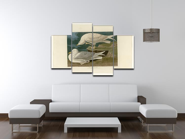 A beautiful 4-split canvas artwork featuring a white-winged silvery gull, showcasing its elegance and grace in a multi-panel format.