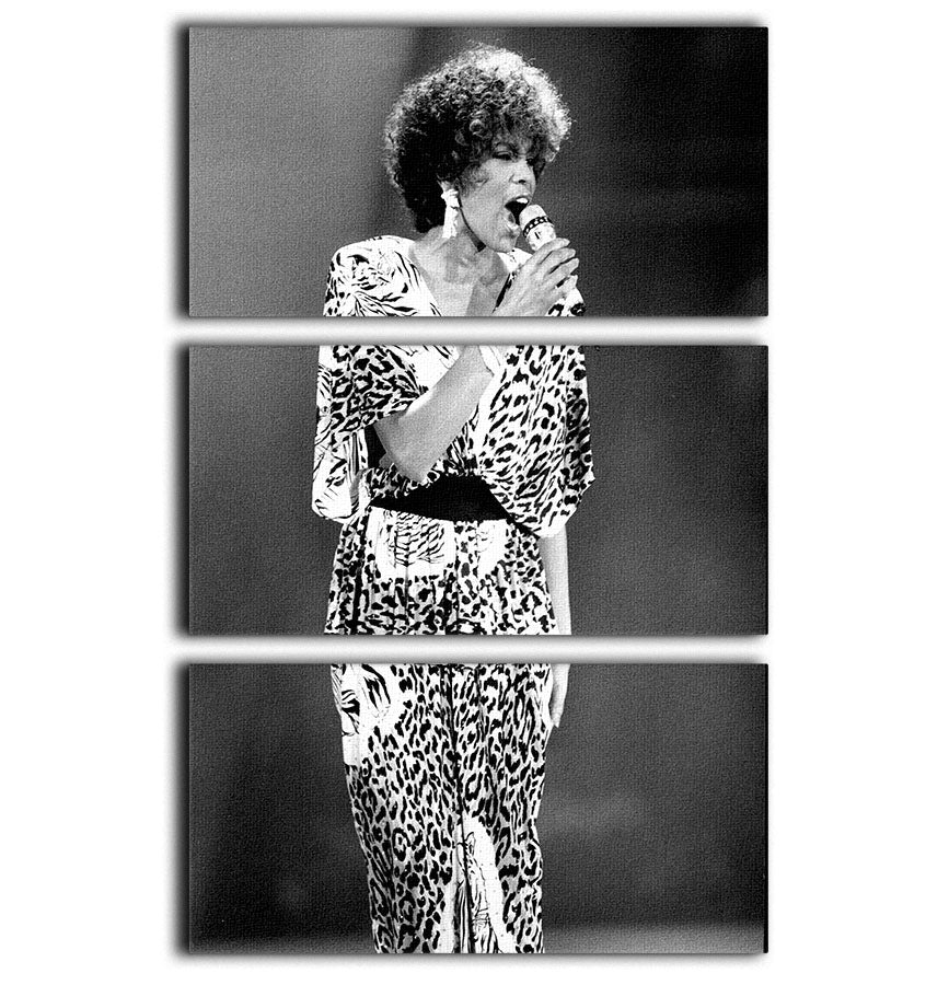 A stunning 3-panel canvas print featuring Whitney Houston on stage, showcasing vibrant colors and intricate details.