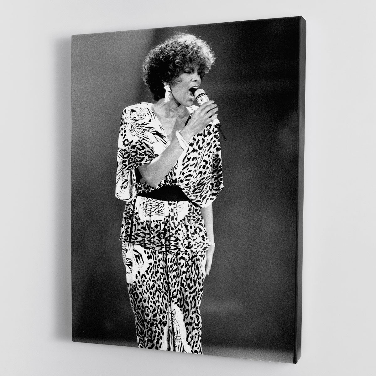 A vibrant canvas print or poster featuring Whitney Houston performing on stage, showcasing her iconic presence and energy.