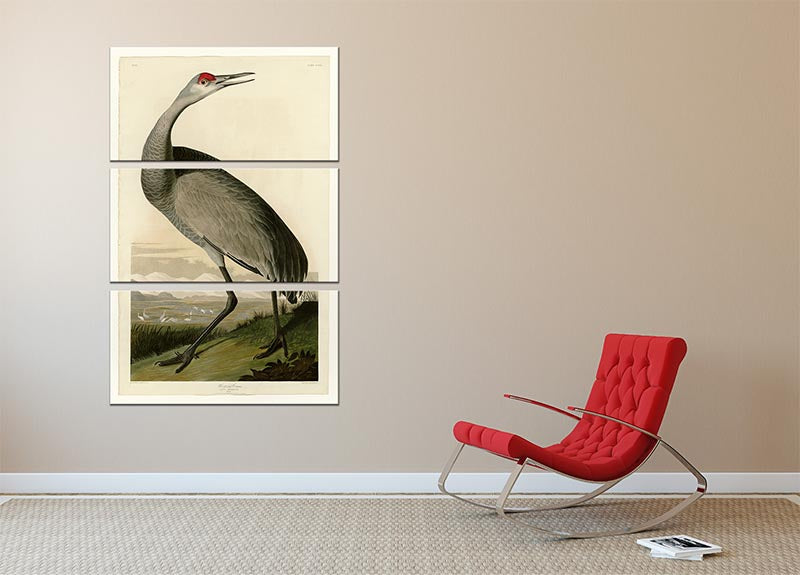 A beautiful 3-panel canvas print featuring a whooping crane in a serene natural setting, perfect for home decor.