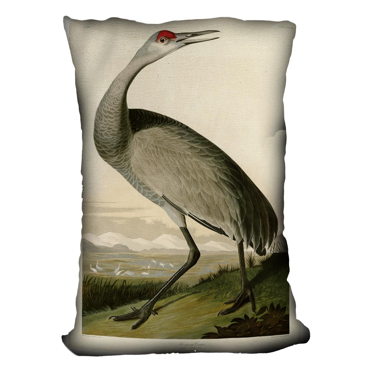 Whooping Crane by Audubon Cushion featuring vibrant abstract design on luxurious vegan faux suede.