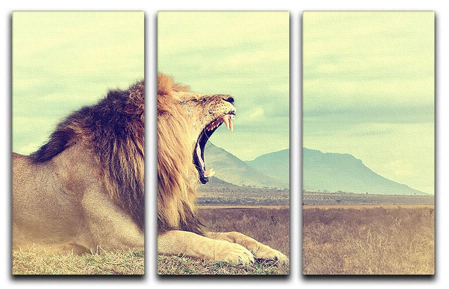 A stunning 3-panel canvas print featuring a majestic wild African lion, showcasing vibrant colors and intricate details.