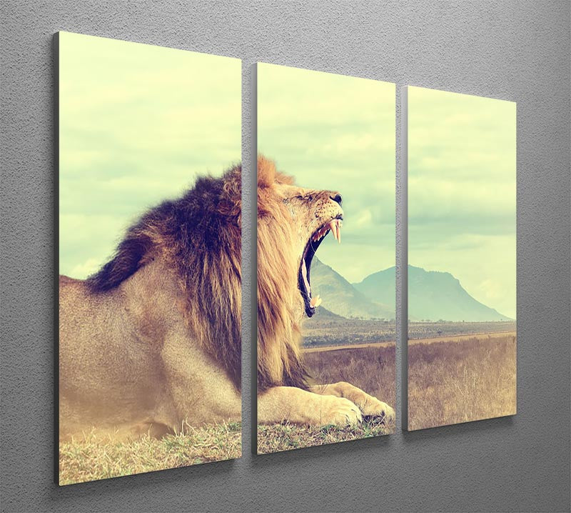 A stunning 3-panel canvas print featuring a majestic wild African lion, showcasing vibrant colors and intricate details.