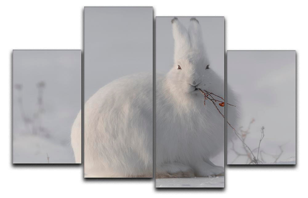 A stunning 4-split canvas artwork featuring a wild Arctic hare, showcasing vibrant colors and intricate details across four panels.