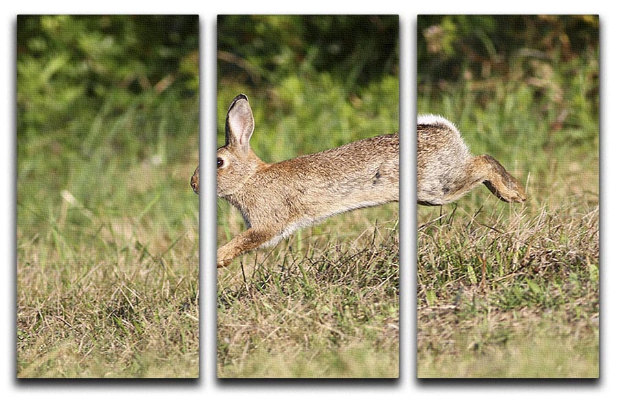 A charming 3-panel canvas print featuring a cute rabbit jumping in a vibrant meadow, perfect for home decor.