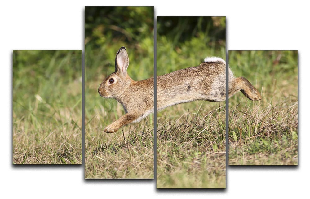 A vibrant 4-split canvas artwork featuring a cute rabbit jumping in a lush meadow, showcasing nature's beauty.