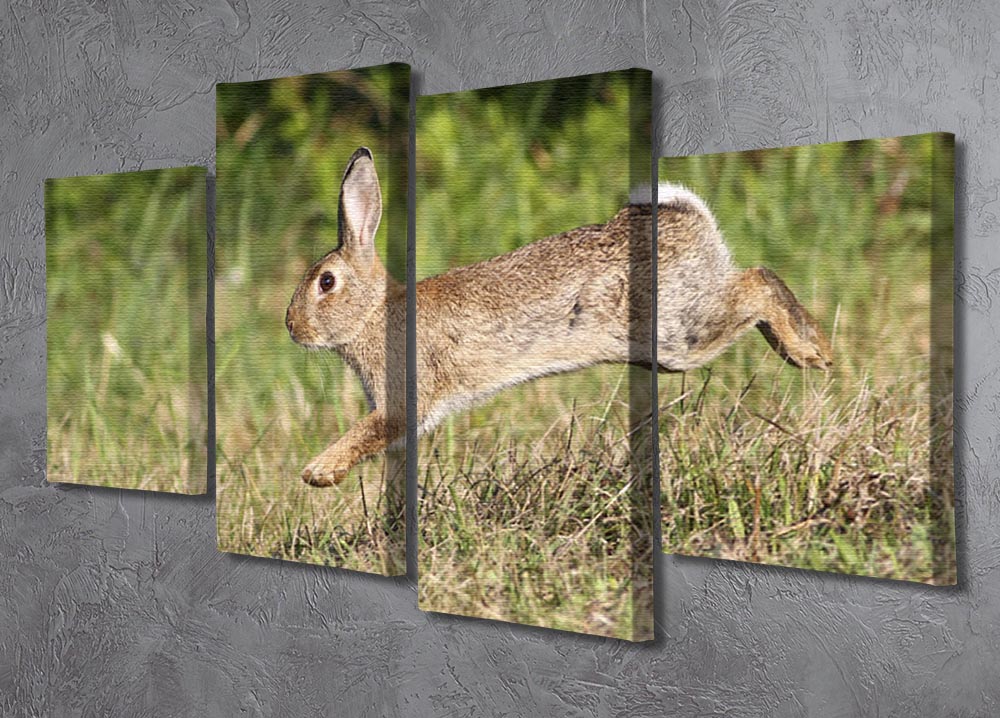 A vibrant 4-split canvas artwork featuring a cute rabbit jumping in a lush meadow, showcasing nature's beauty.