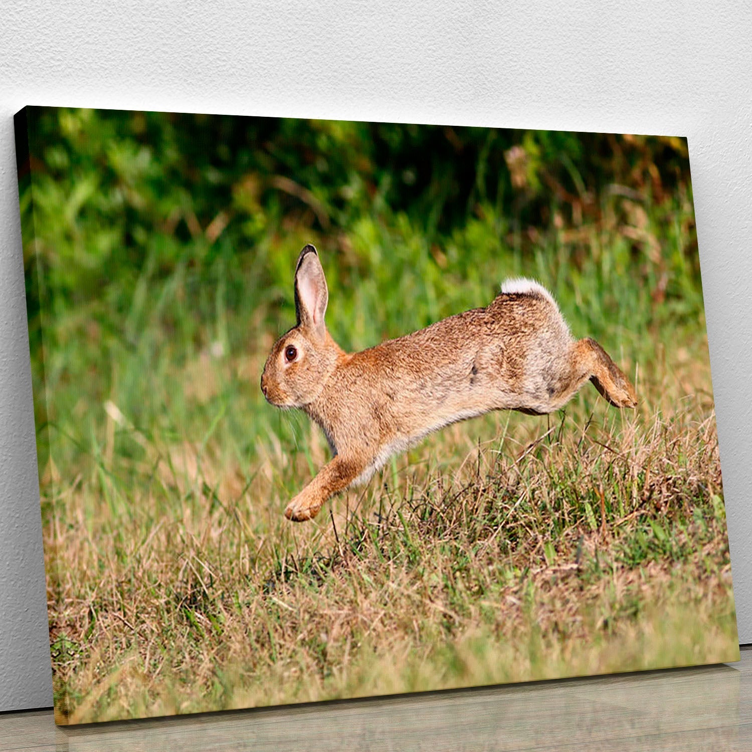A vibrant canvas print featuring a cute wild rabbit jumping in a lush green meadow, showcasing nature's beauty.