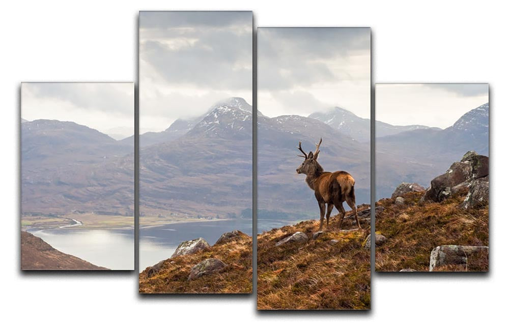 A beautiful 4-panel canvas artwork featuring a wild stag overlooking the serene Loch Torridon in Scotland, showcasing nature's majesty.