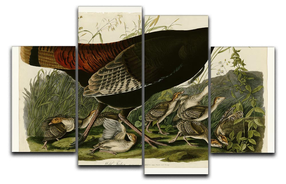 Wild Turkey 2 split panel canvas art featuring a vibrant wild turkey design across four panels.