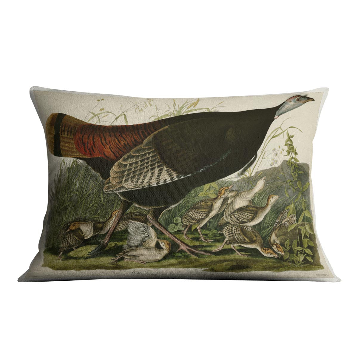 Wild Turkey 2 by Audubon Cushion featuring vibrant abstract design on luxurious vegan faux suede.
