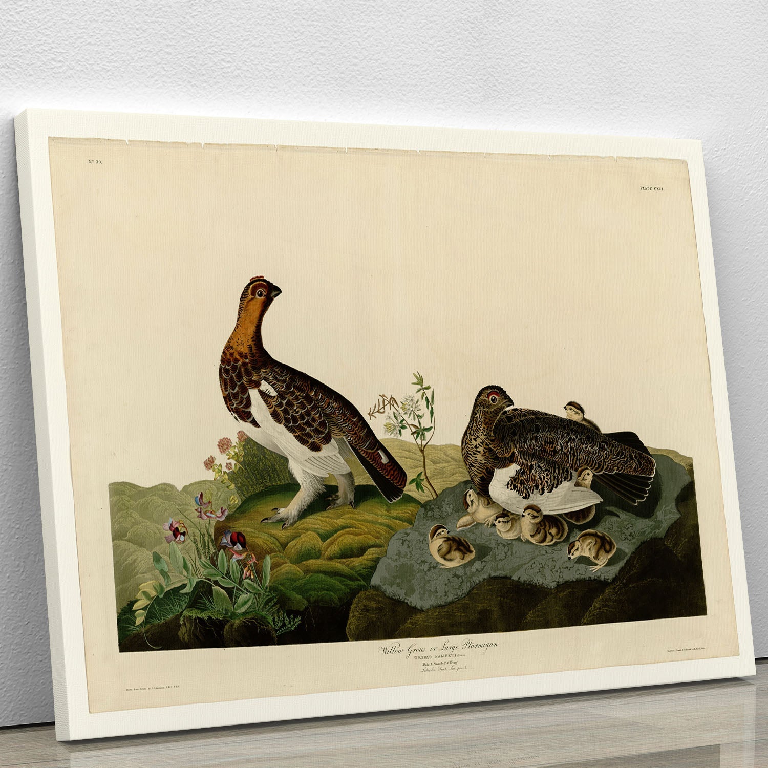 Willow Grouse canvas print showcasing a detailed depiction of the bird in its natural habitat, perfect for home decor.