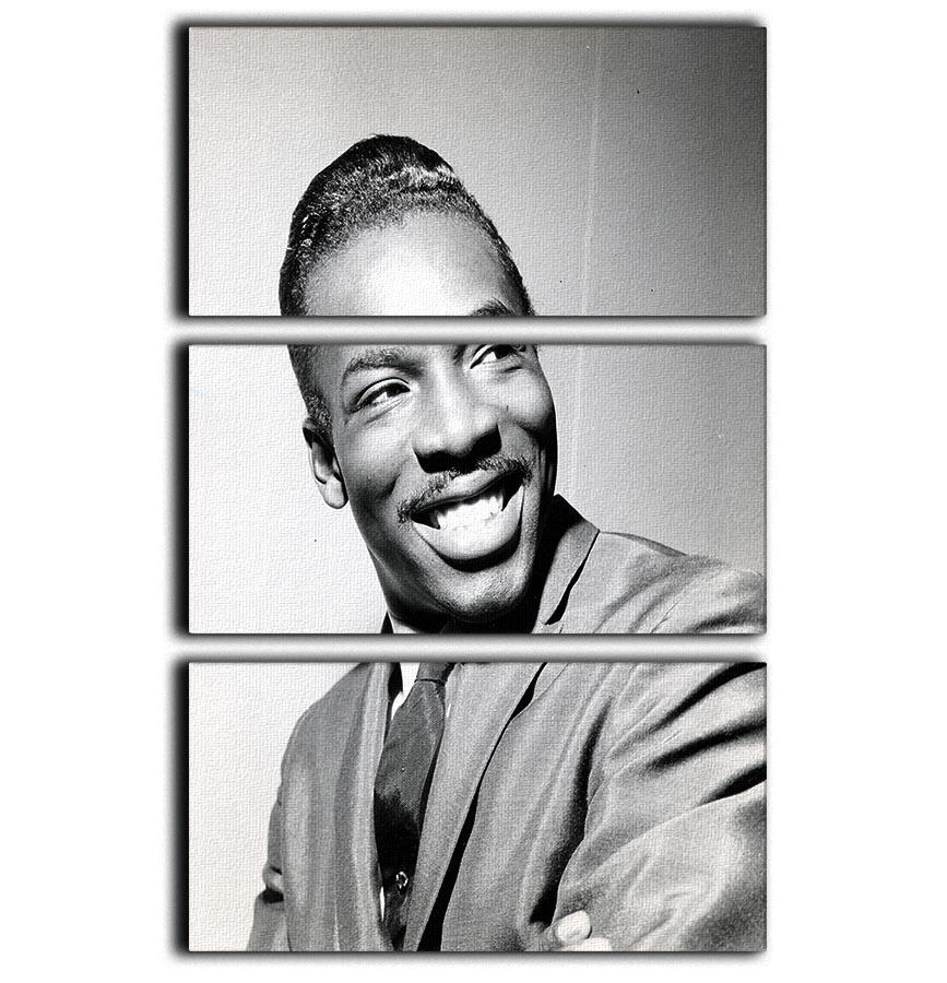 Wilson Pickett 3 Split Panel Canvas Print featuring vibrant colors and artistic design, perfect for enhancing any room's decor.