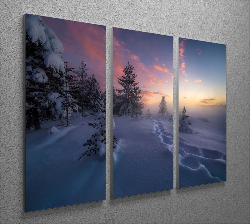 A beautiful 3-panel canvas print featuring a winter landscape, showcasing snow-covered steps leading through a serene scene.