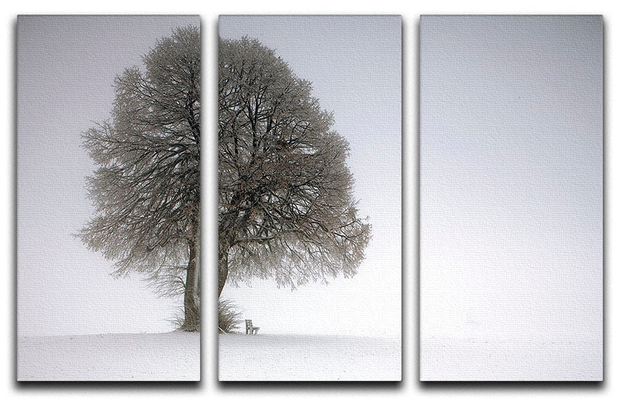 A beautiful 3-panel canvas print featuring a winter tree scene, showcasing intricate details and vibrant colors, perfect for home decor.