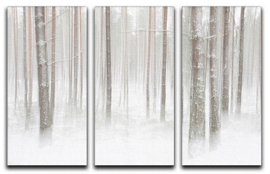 A beautiful 3-panel canvas print depicting a serene winter forest scene in Sweden, showcasing trees and snow.