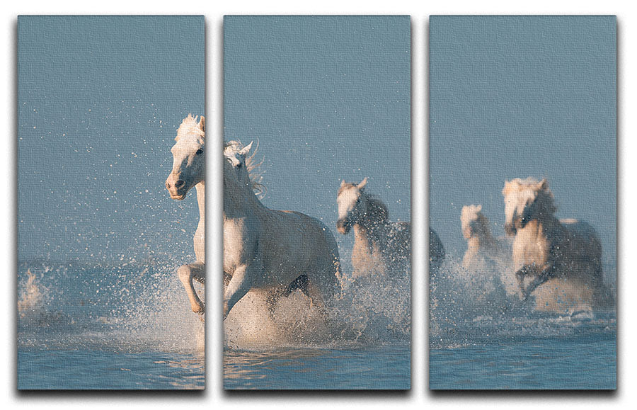 A stunning 3-panel canvas print featuring white horses running through water, creating a dynamic and elegant wall art piece.