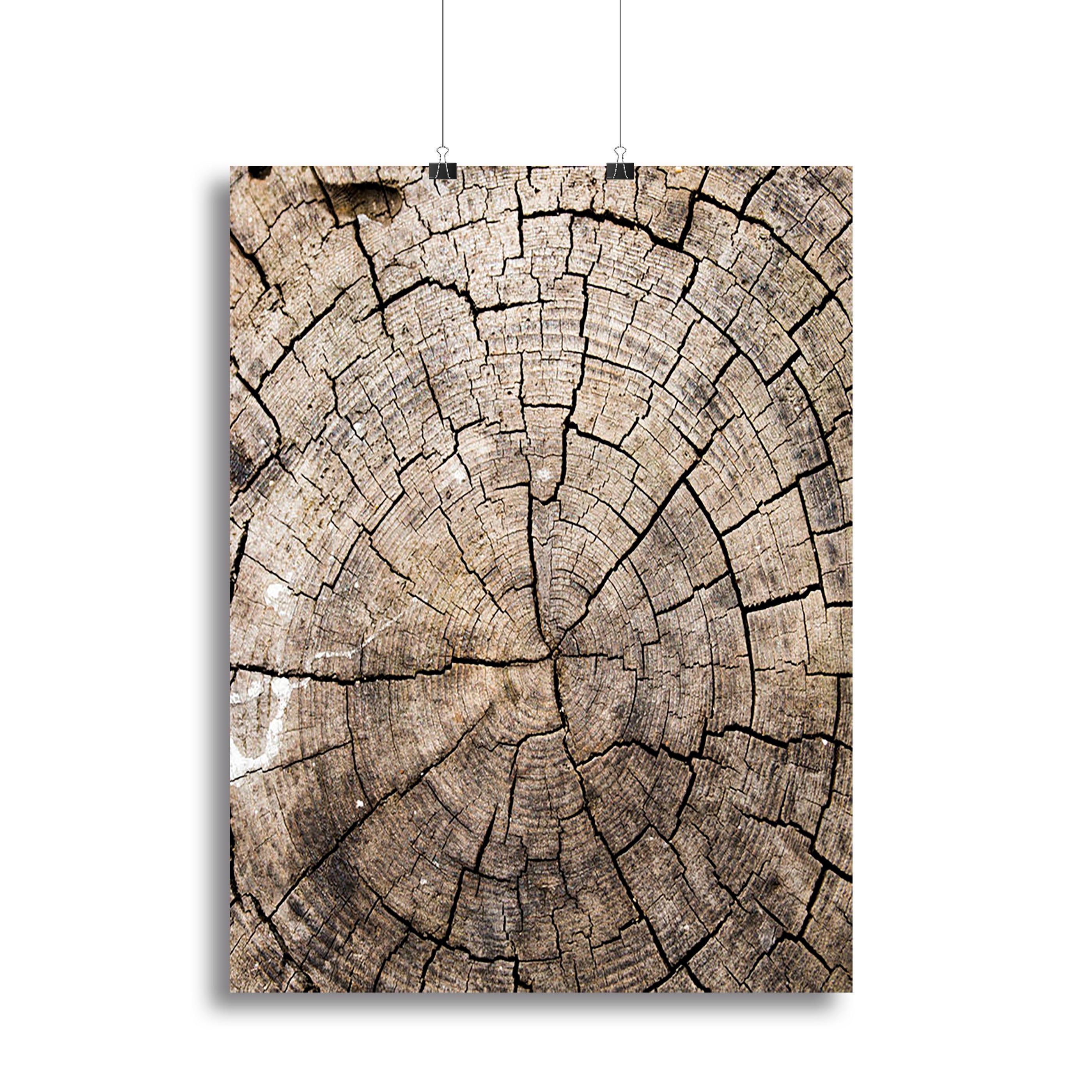 A beautiful wood canvas print featuring vibrant artwork, showcasing modern and nature themes, perfect for home decor.