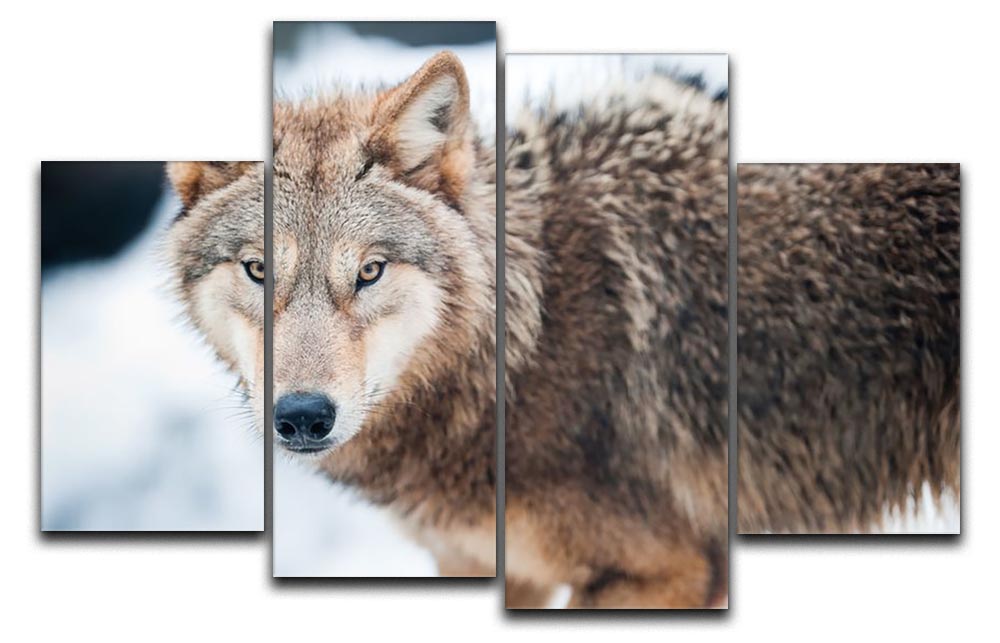 A majestic wolf standing in a snowy landscape, depicted across four split canvas panels, creating a dynamic and captivating artwork.