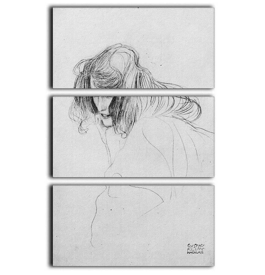 Three-panel canvas art featuring Klimt's Woman's Head in profile, showcasing intricate patterns and vibrant colors.