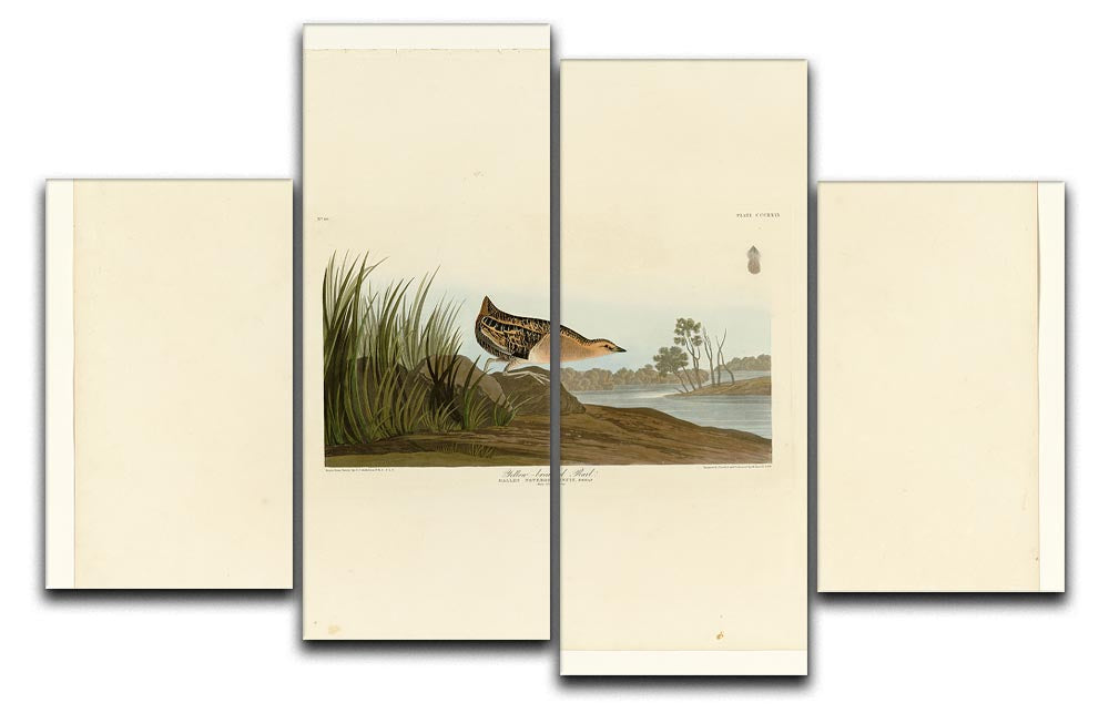 A vibrant 4-split canvas artwork featuring the Yellow Breasted Rail, showcasing its colorful plumage and intricate details across four panels.