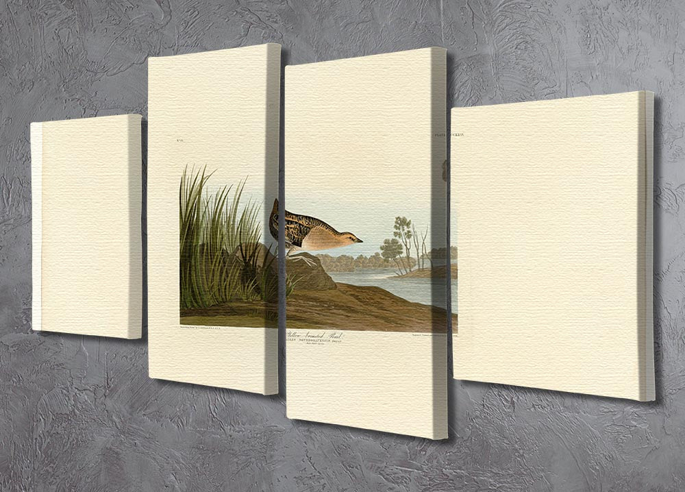 A vibrant 4-split canvas artwork featuring the Yellow Breasted Rail, showcasing its colorful plumage and intricate details across four panels.