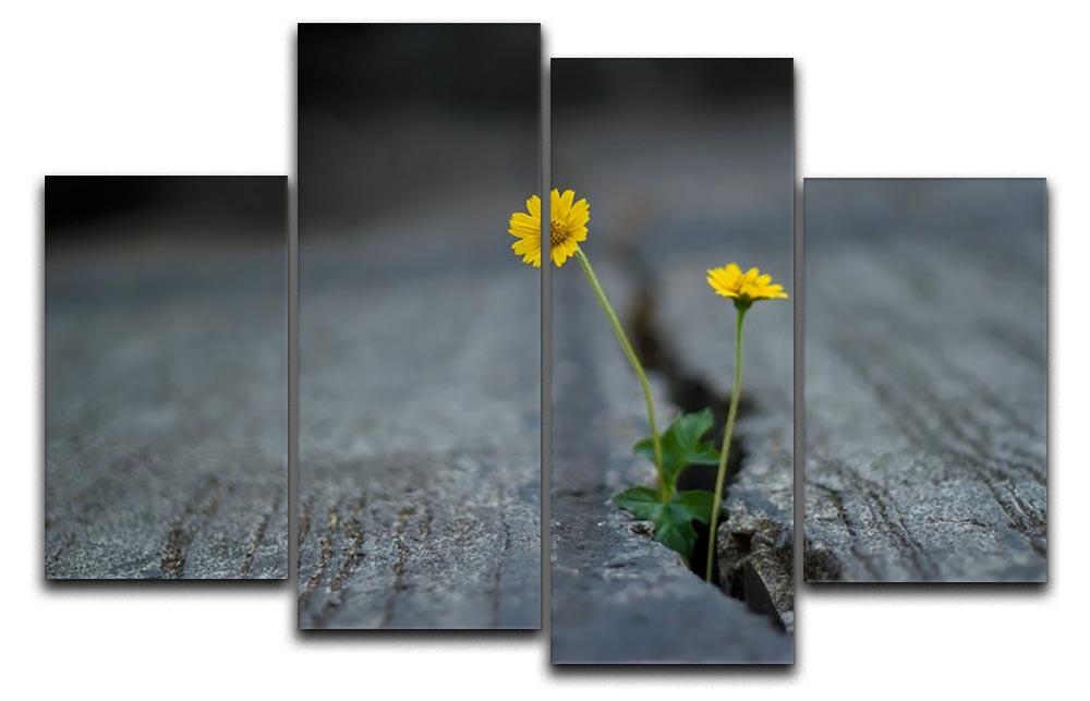 A vibrant yellow flower displayed on a 4-panel split canvas, showcasing a dynamic and multi-dimensional artwork perfect for home decor.