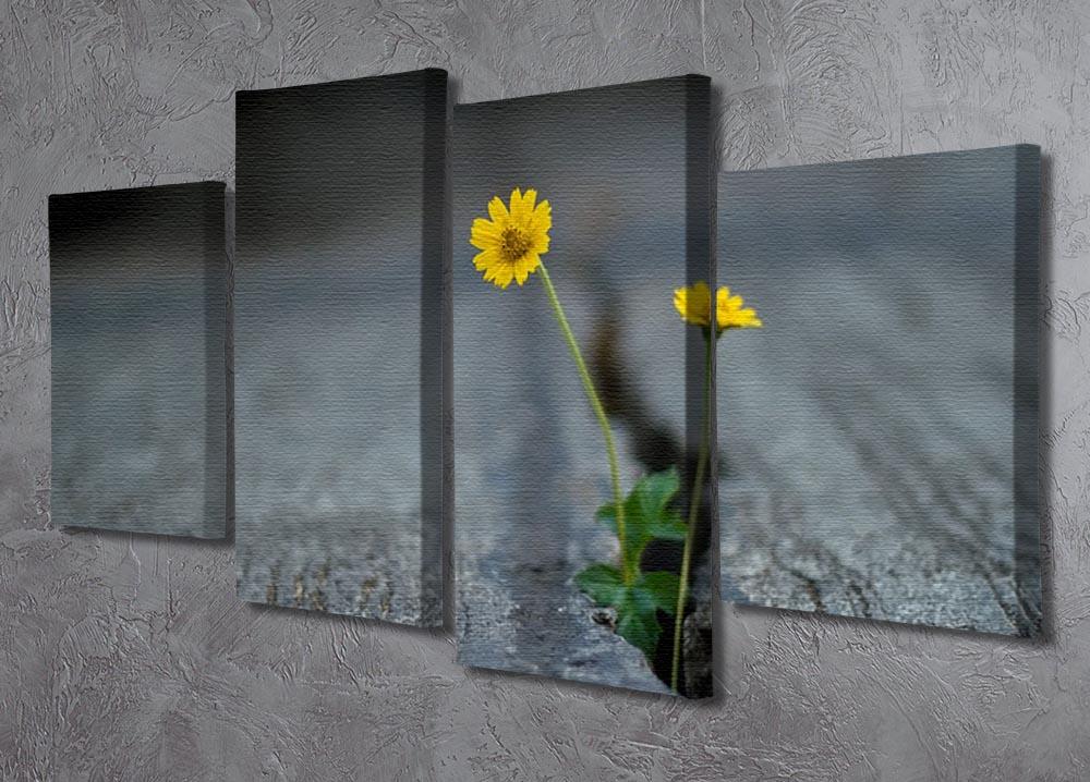 A vibrant yellow flower displayed on a 4-panel split canvas, showcasing a dynamic and multi-dimensional artwork perfect for home decor.