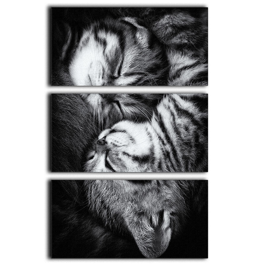 Yin and Yang 3 Split Panel Canvas Print featuring a harmonious design across three panels, perfect for modern decor.