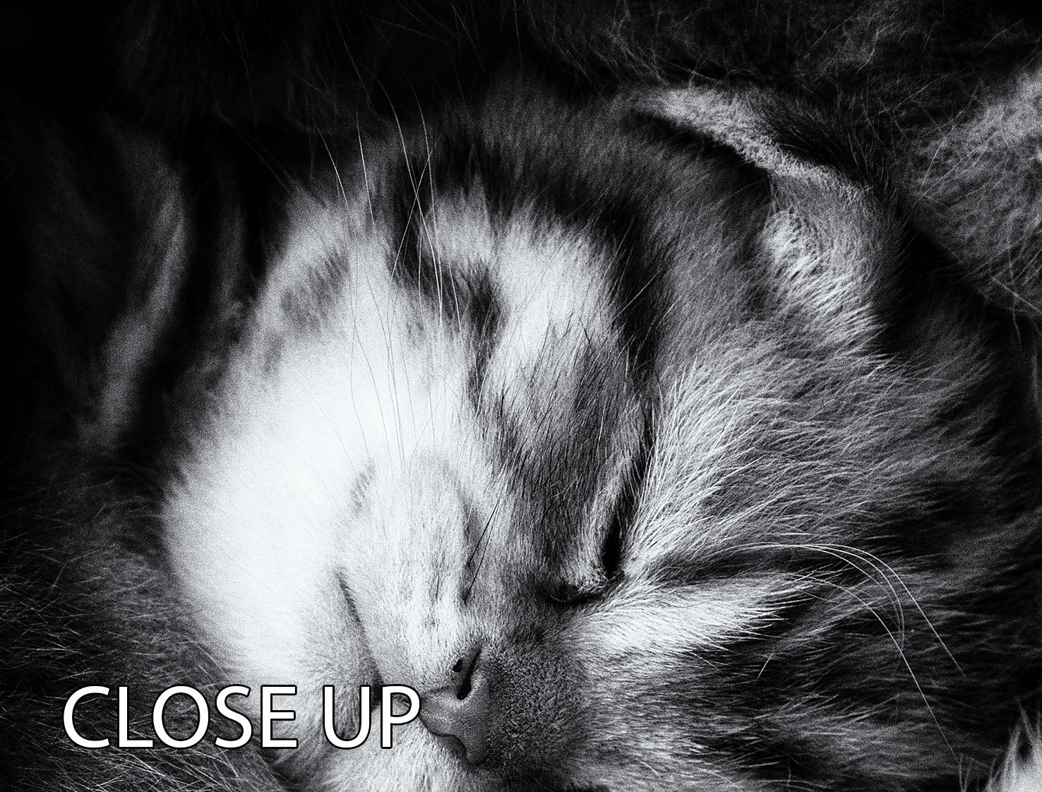 Yin and Yang 3 Split Panel Canvas Print featuring a harmonious design across three panels, perfect for modern decor.