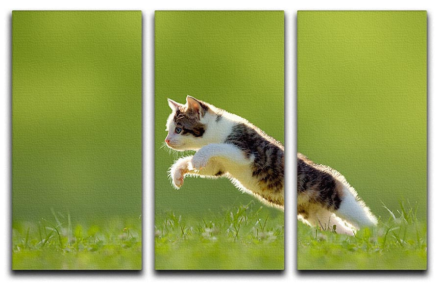 A young cat gracefully jumps over a vibrant meadow, captured in a stunning 3-panel canvas art piece, showcasing playful energy and natural beauty.