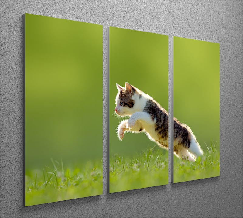 A young cat gracefully jumps over a vibrant meadow, captured in a stunning 3-panel canvas art piece, showcasing playful energy and natural beauty.