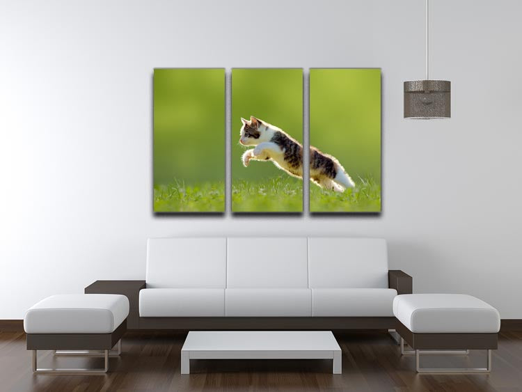 A young cat gracefully jumps over a vibrant meadow, captured in a stunning 3-panel canvas art piece, showcasing playful energy and natural beauty.