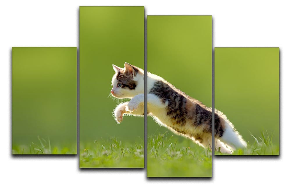 A vibrant 4 split panel canvas featuring a young cat jumping over a lush green meadow, beautifully backlit for enhanced colors.
