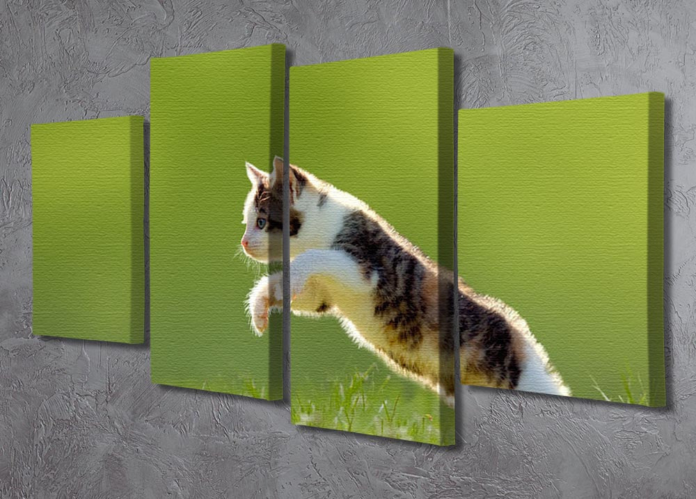 A vibrant 4 split panel canvas featuring a young cat jumping over a lush green meadow, beautifully backlit for enhanced colors.