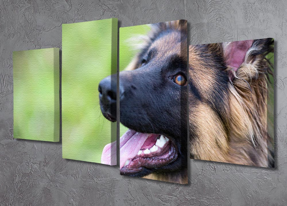 A stunning 4-split canvas artwork of a young German Shepherd playing on the grass in a park, showcasing vibrant colors and dynamic design.