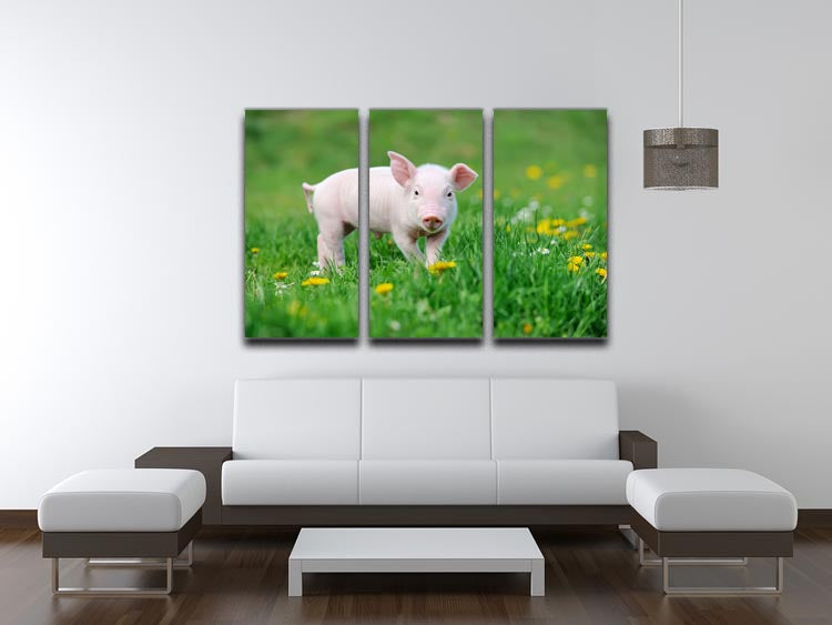 A vibrant 3-panel canvas print featuring a young funny pig, perfect for home decor.