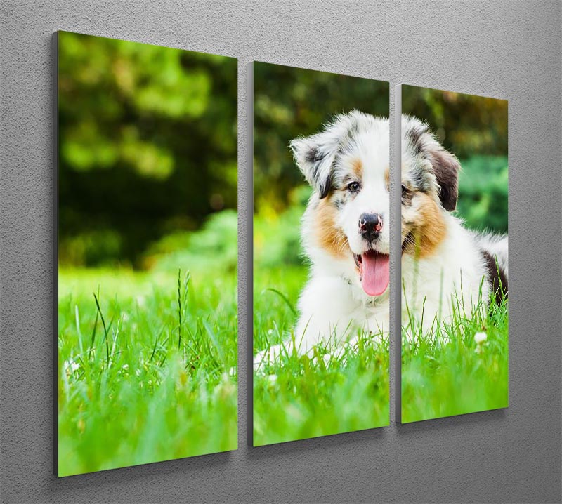 A charming young puppy lying on fresh green grass in a public park, depicted in a stunning 3-panel canvas art.