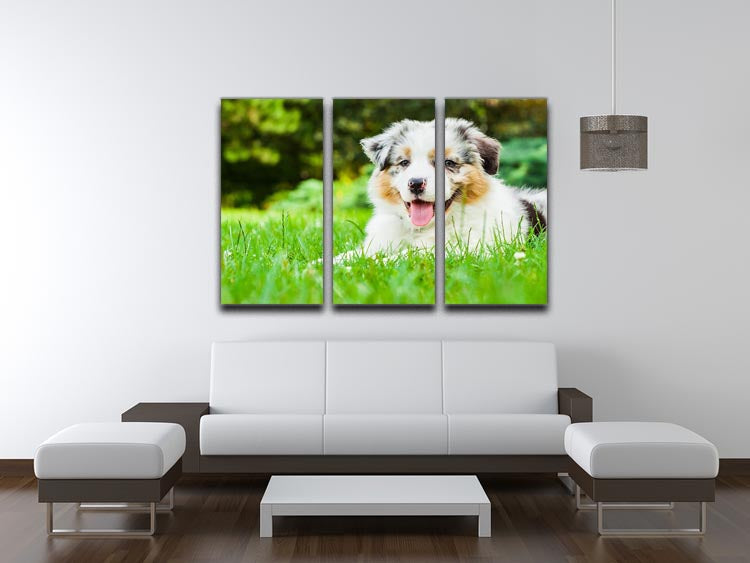 A charming young puppy lying on fresh green grass in a public park, depicted in a stunning 3-panel canvas art.