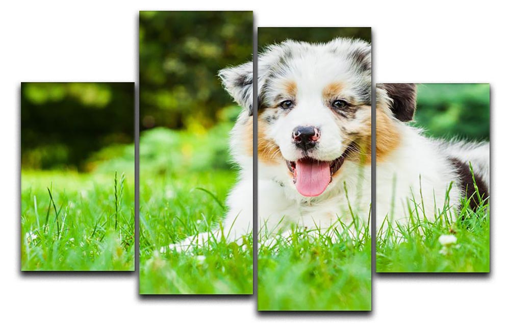 A charming young puppy lying on lush green grass in a public park, depicted in a 4-split canvas art format.