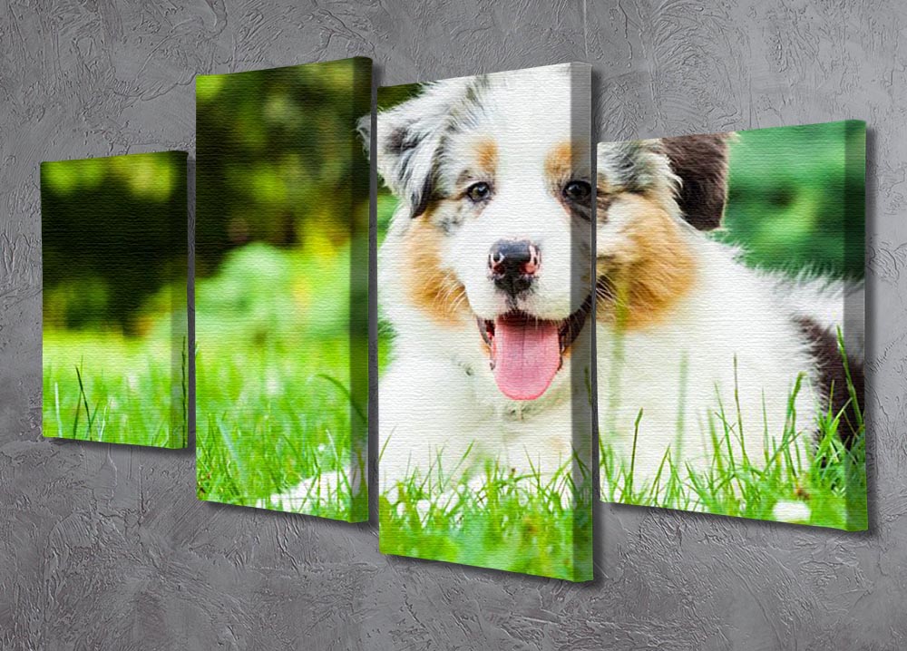 A charming young puppy lying on lush green grass in a public park, depicted in a 4-split canvas art format.