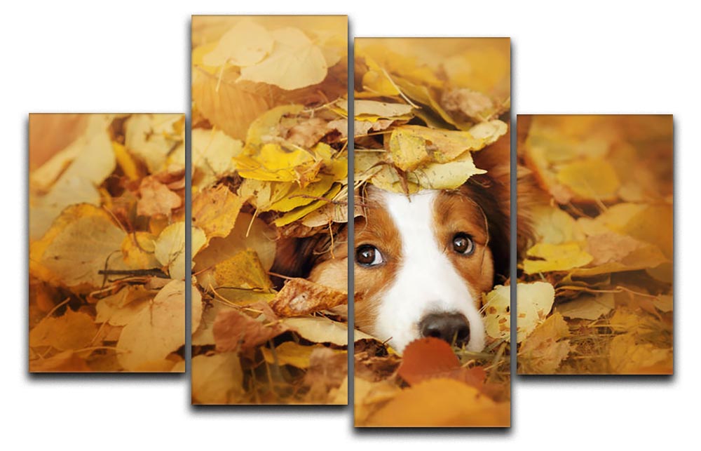 A vibrant 4-split canvas artwork featuring a young red border collie dog playing with colorful leaves, showcasing dynamic and playful energy.
