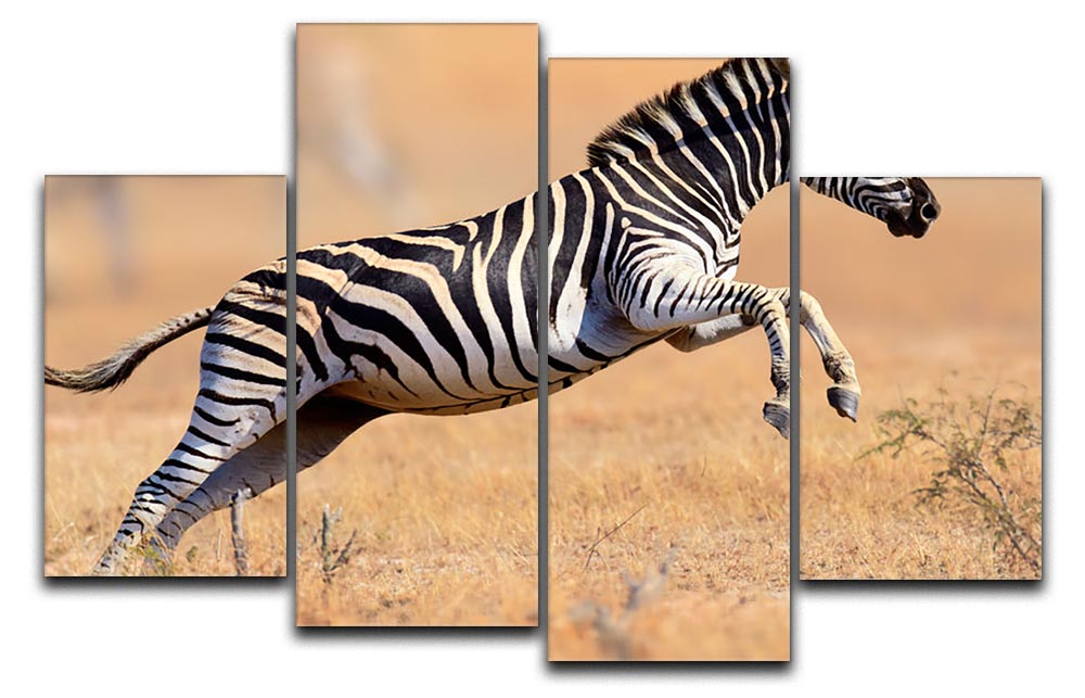 Zebra 4 Split Panel Canvas artwork featuring a striking zebra design divided into four panels.