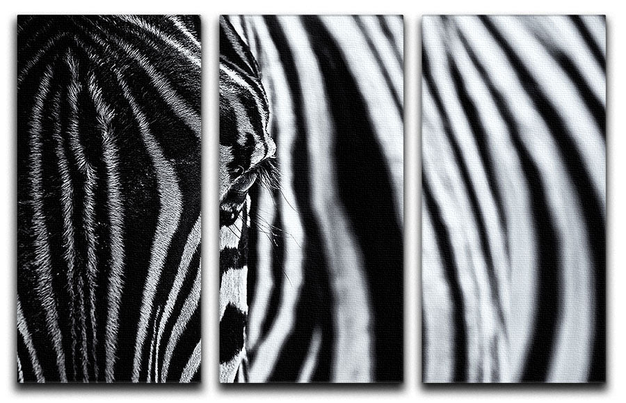A stunning close-up of a zebra displayed on a three-panel canvas print, showcasing intricate patterns and textures.
