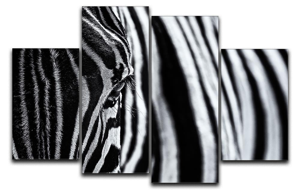 A stunning close-up of a zebra displayed on a 4-split canvas, showcasing intricate details and striking black and white patterns.
