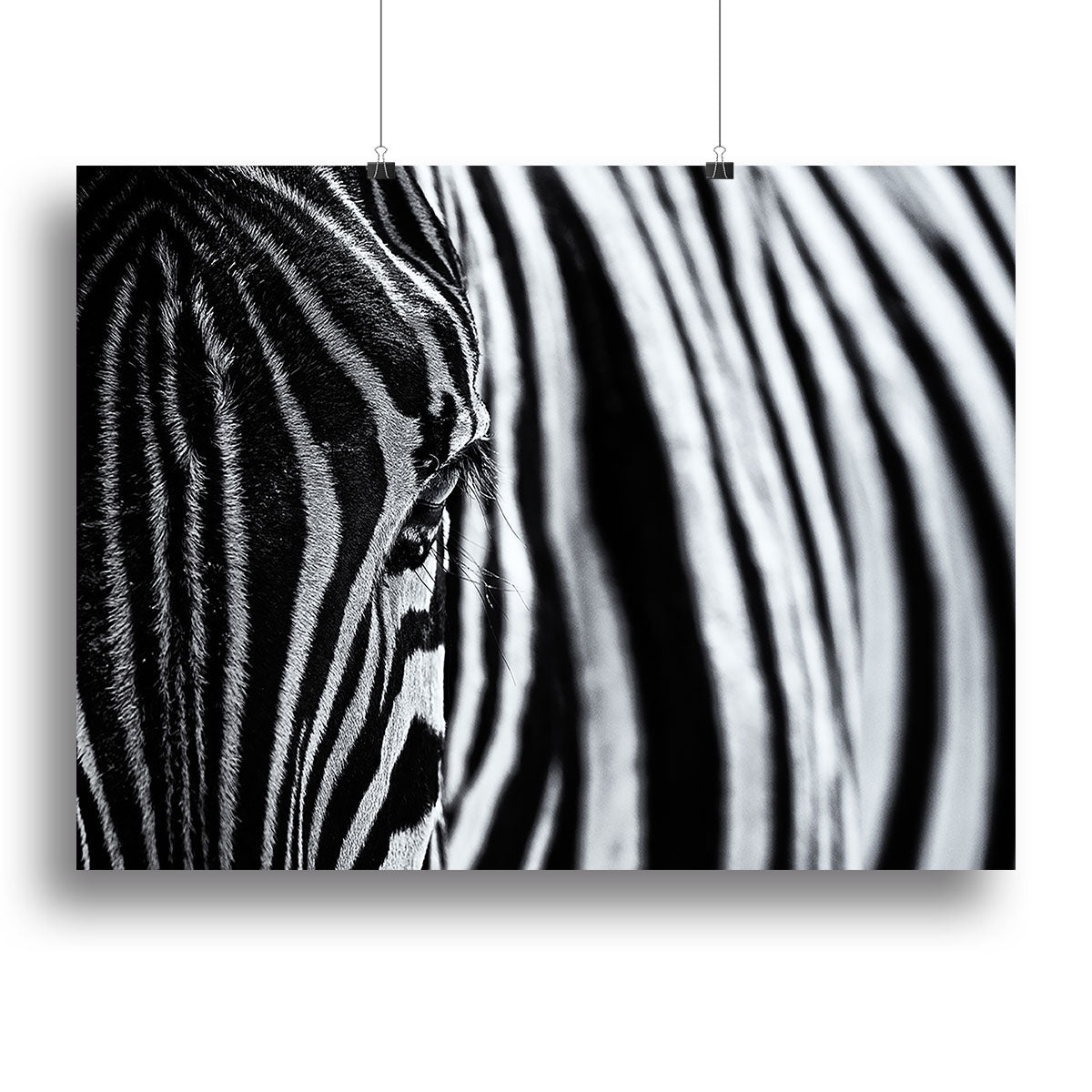 A close-up view of a zebra's face, showcasing its unique black and white stripes on a canvas print.